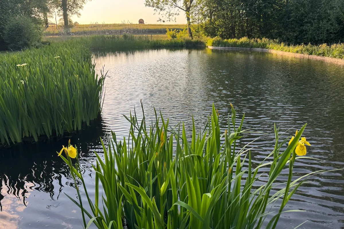 Campingplatz Lüneburg Badeteich